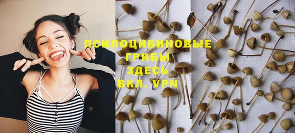 альфа пвп Медногорск