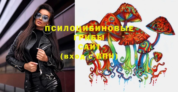 альфа пвп Медногорск