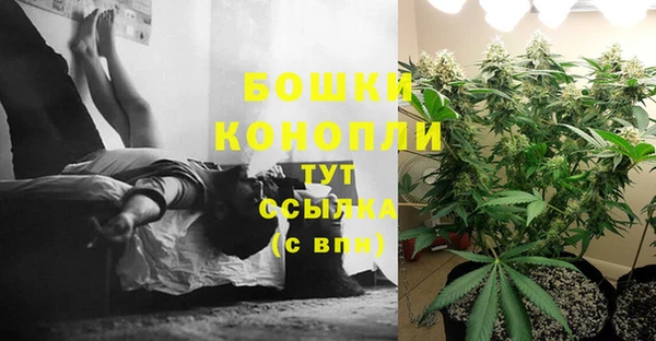 альфа пвп Медногорск